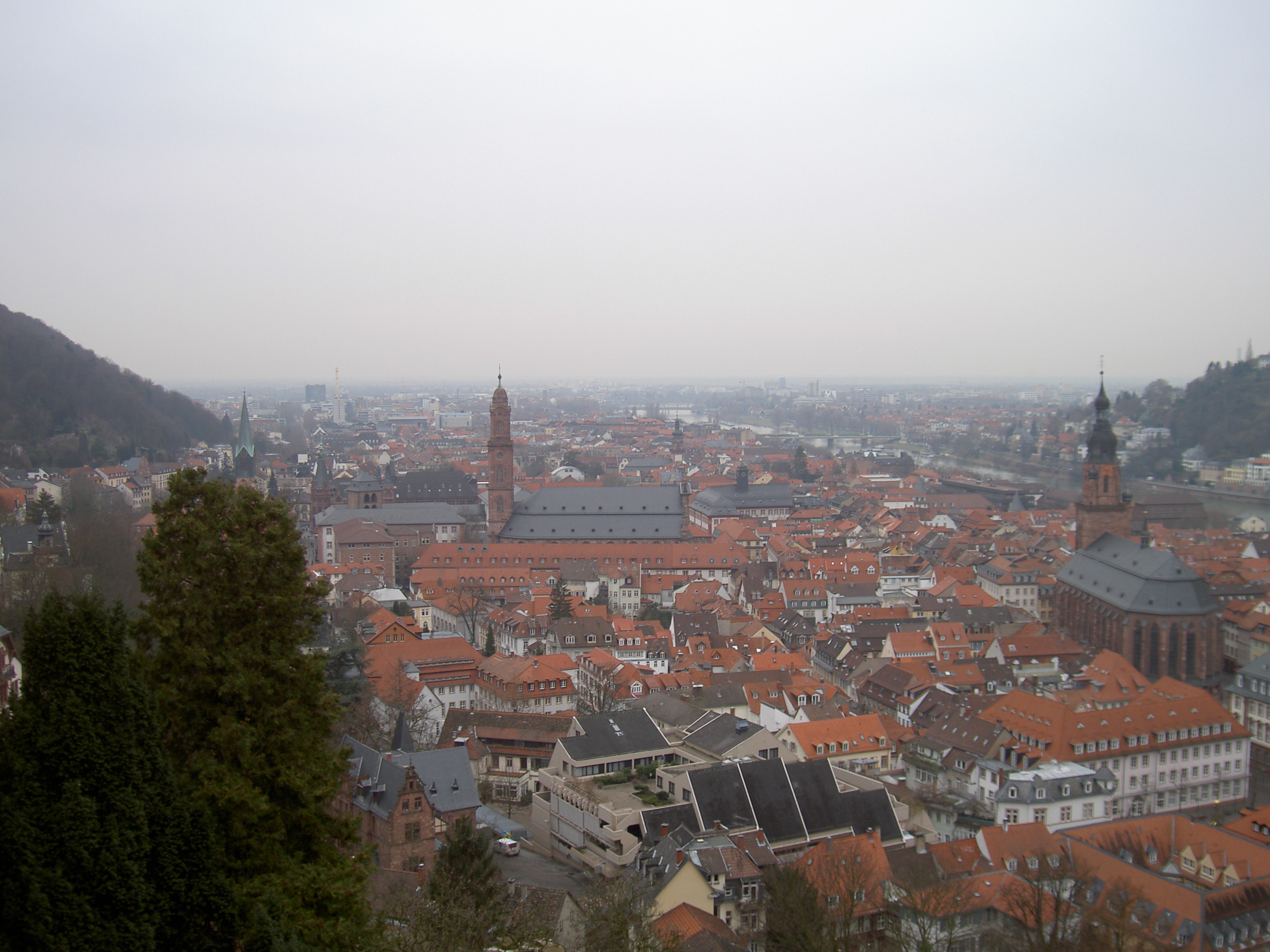 Vue d'ensemble d'Heidelberg